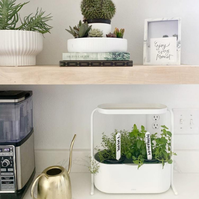 Create Your Own Herb Garden with Giardino