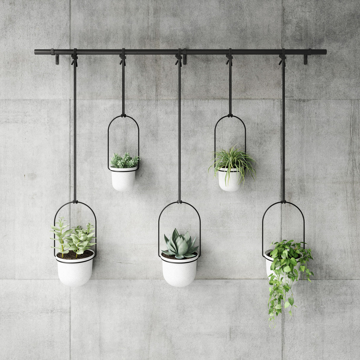 Hanging Planters | color: White-Black | https://vimeo.com/704293407