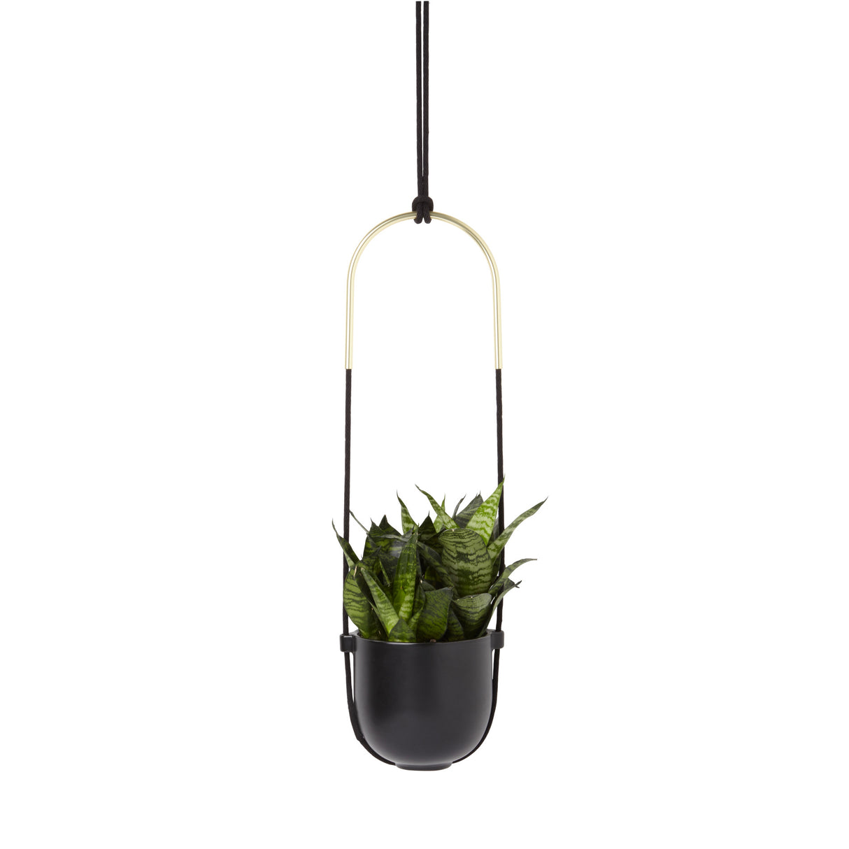 Hanging Planters | color: Black