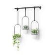 Hanging Planters | color: White-Black