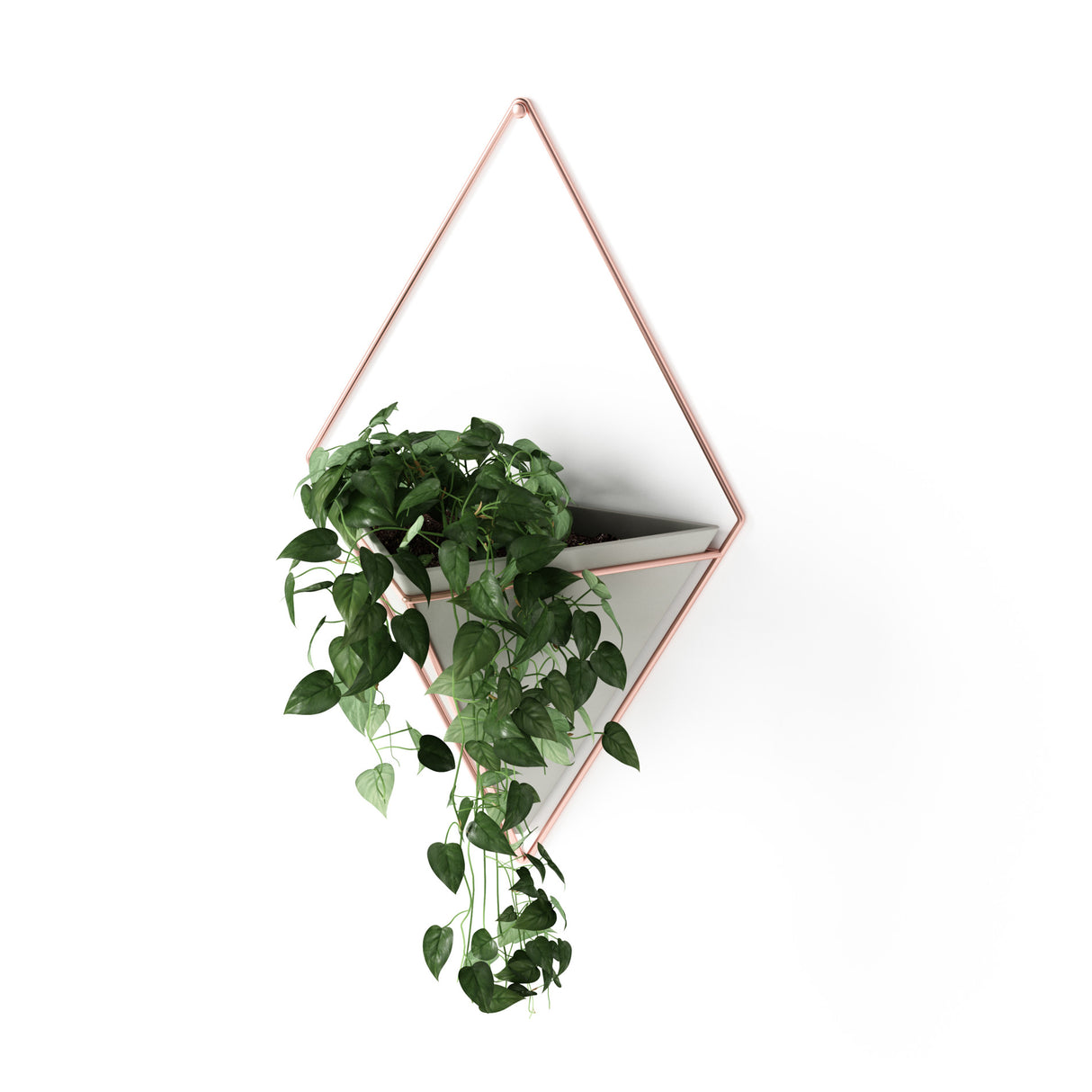 Wall Planters | color: Concrete-Copper